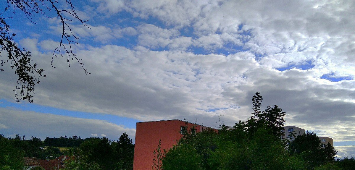 Borovina
