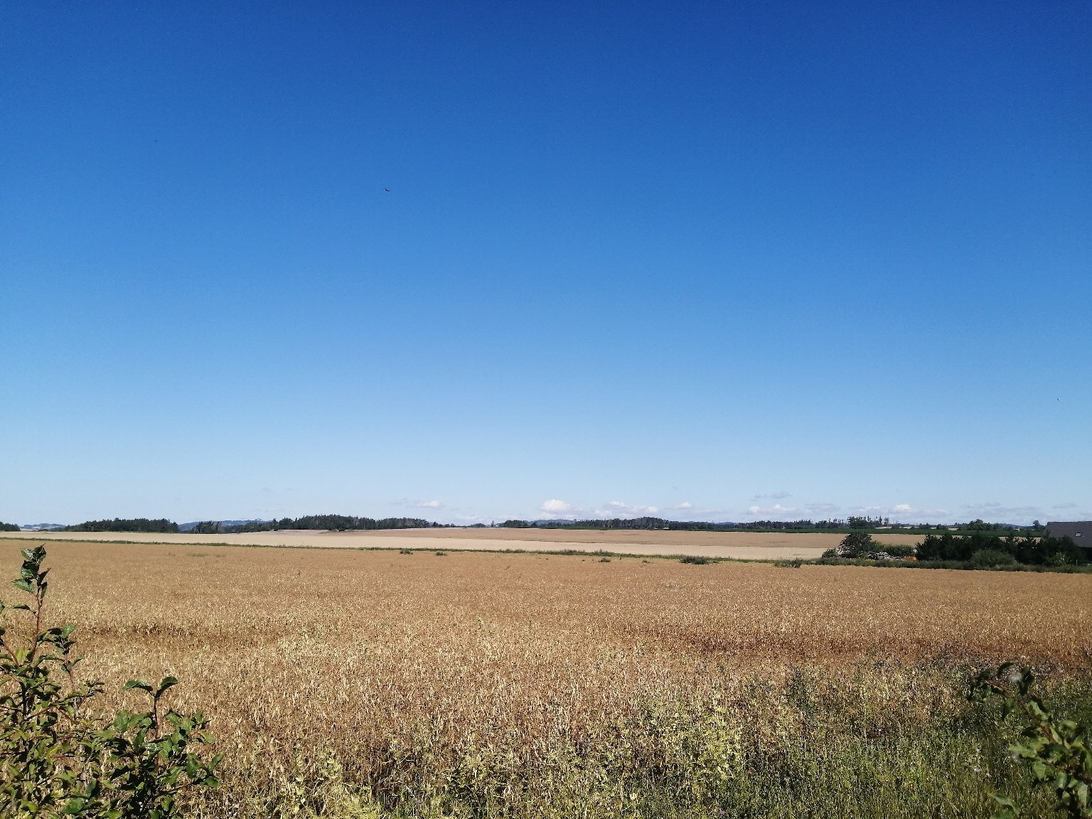 Hostákov