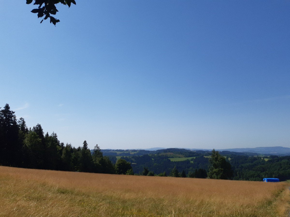 Paseky nad Jizerou