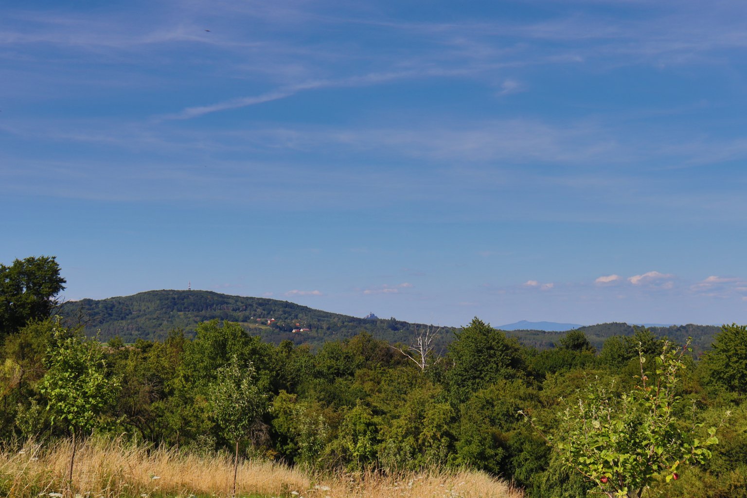 Romanov (Mšeno)
