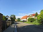 Třibřichy