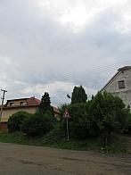 Třibřichy