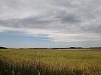 Hostákov