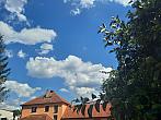 Olešná