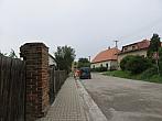 Třibřichy