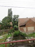 Třibřichy