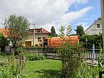 Třibřichy