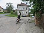 Třibřichy