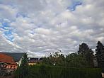 Olešná