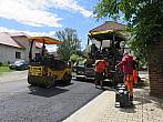 Třibřichy