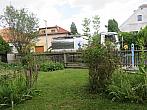 Třibřichy