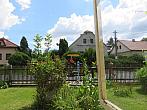 Třibřichy