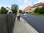 Třibřichy