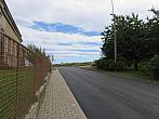 Třibřichy