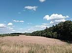 Lukovany
