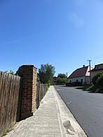 Třibřichy