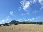 Podsedice
