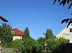 Třibřichy