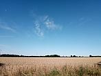 Lukovany