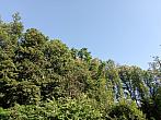 Lukovany