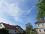 Třibřichy
