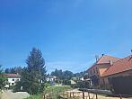 Olešná