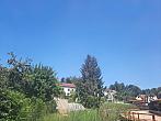 Olešná
