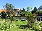 Třibřichy