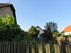 Třibřichy