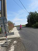 Třibřichy