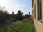 Třibřichy