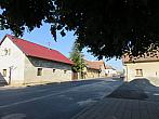 Třibřichy