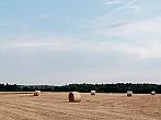 Lukovany