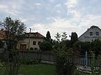 Třibřichy