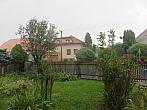 Třibřichy