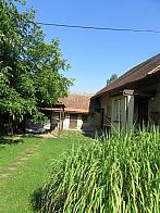 Třibřichy