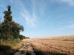 Lukovany
