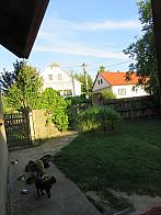 Třibřichy