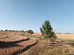 Lukovany