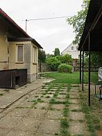 Třibřichy