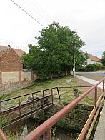 Třibřichy
