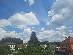 Olešná