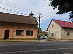 Třibřichy
