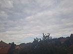 Olešná