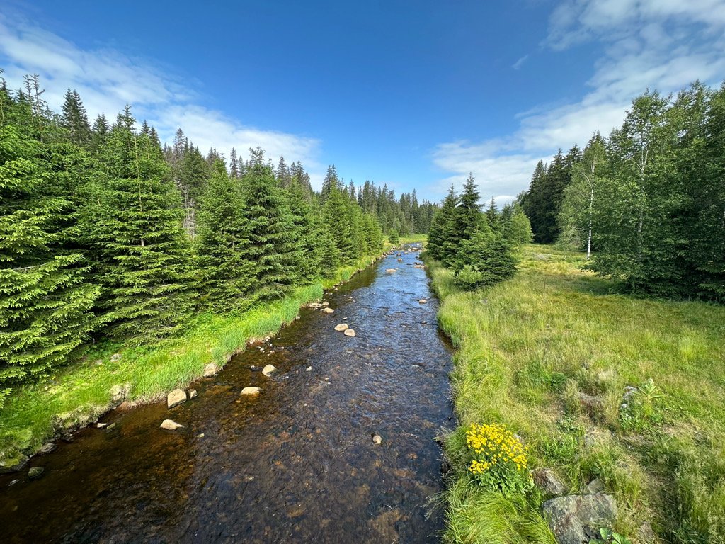 Modrava