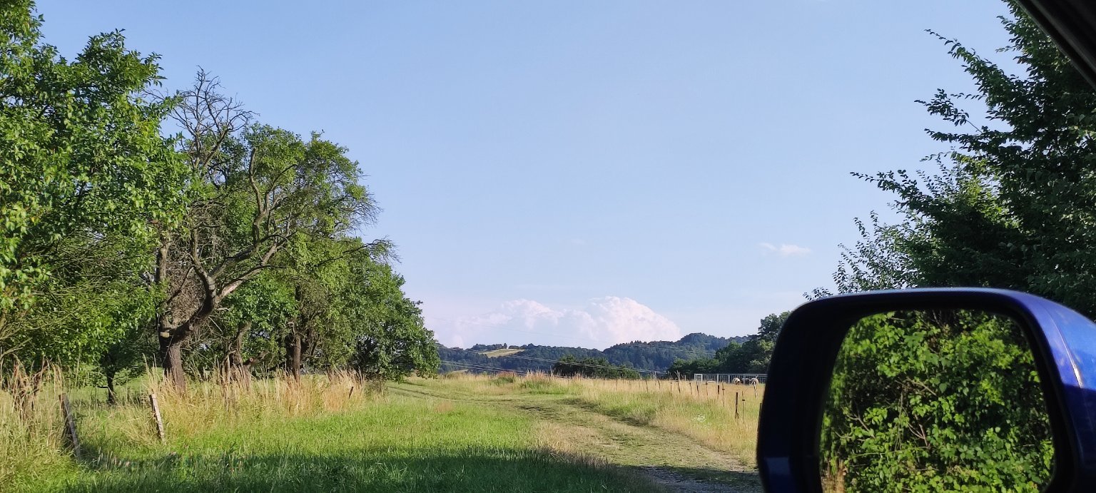 Rybí