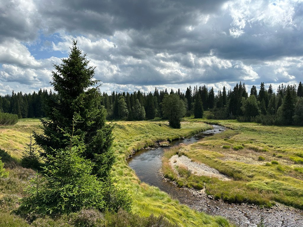 Modrava