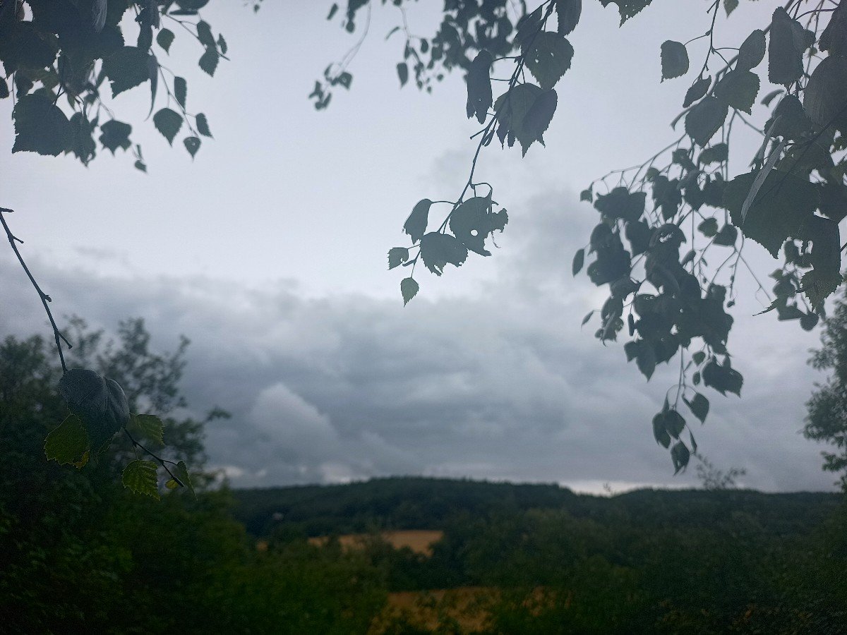 Habrovany