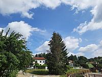 Olešná