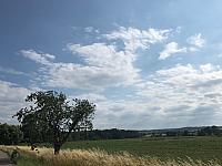 Fotografie